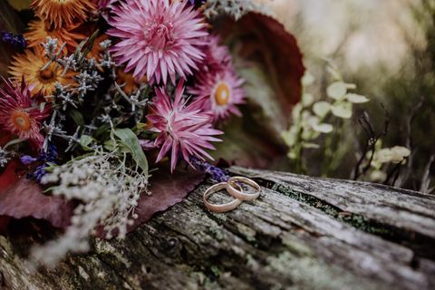 Ihre Veranstaltung in Enzklösterle - egal ob Trauung oder Tanzseminar