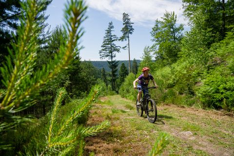 Radfahren rund um Enzklösterle - Foto: Alex Kijak