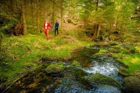 Wanderung "Kaltenbachschleife"