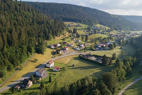 Nonnenmiss von oben - Foto: RalfGB