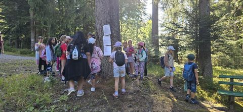 Kinder an einem Baum beim Lesen der nächsten Aufgabe
