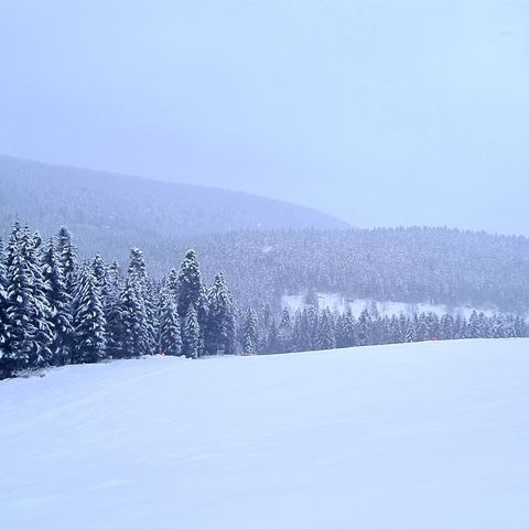 Skizentrum Enzklösterle - Piste