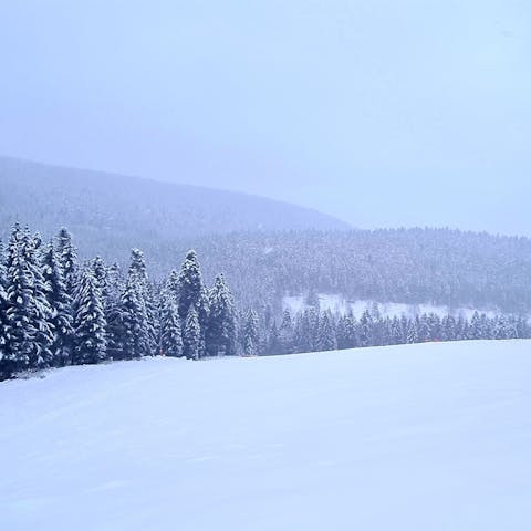 Skizentrum Enzklösterle - Piste
