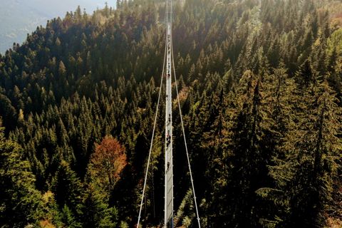 Fußgängerhängebrücke WILDLINE