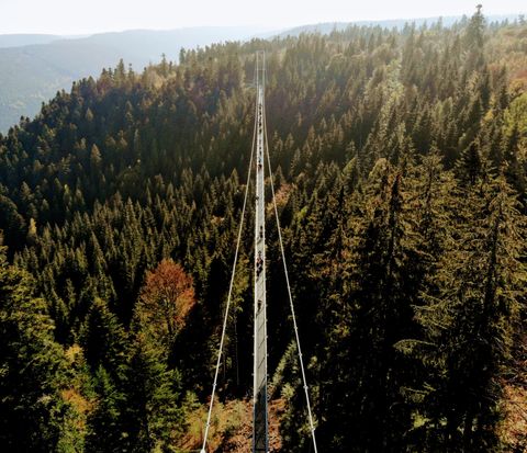 Fußgängerhängebrücke WILDLINE