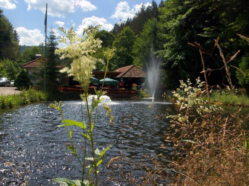Verweilen Sie in der Idylle der Petersmühle