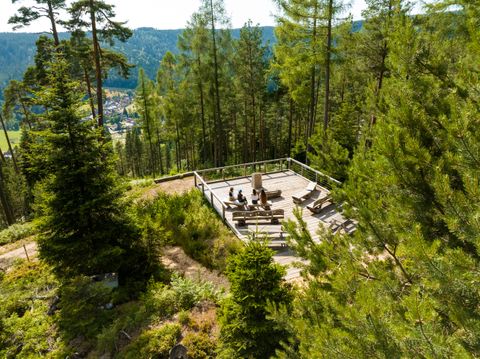 Heidelbeerplattform am Heidelbeerweg