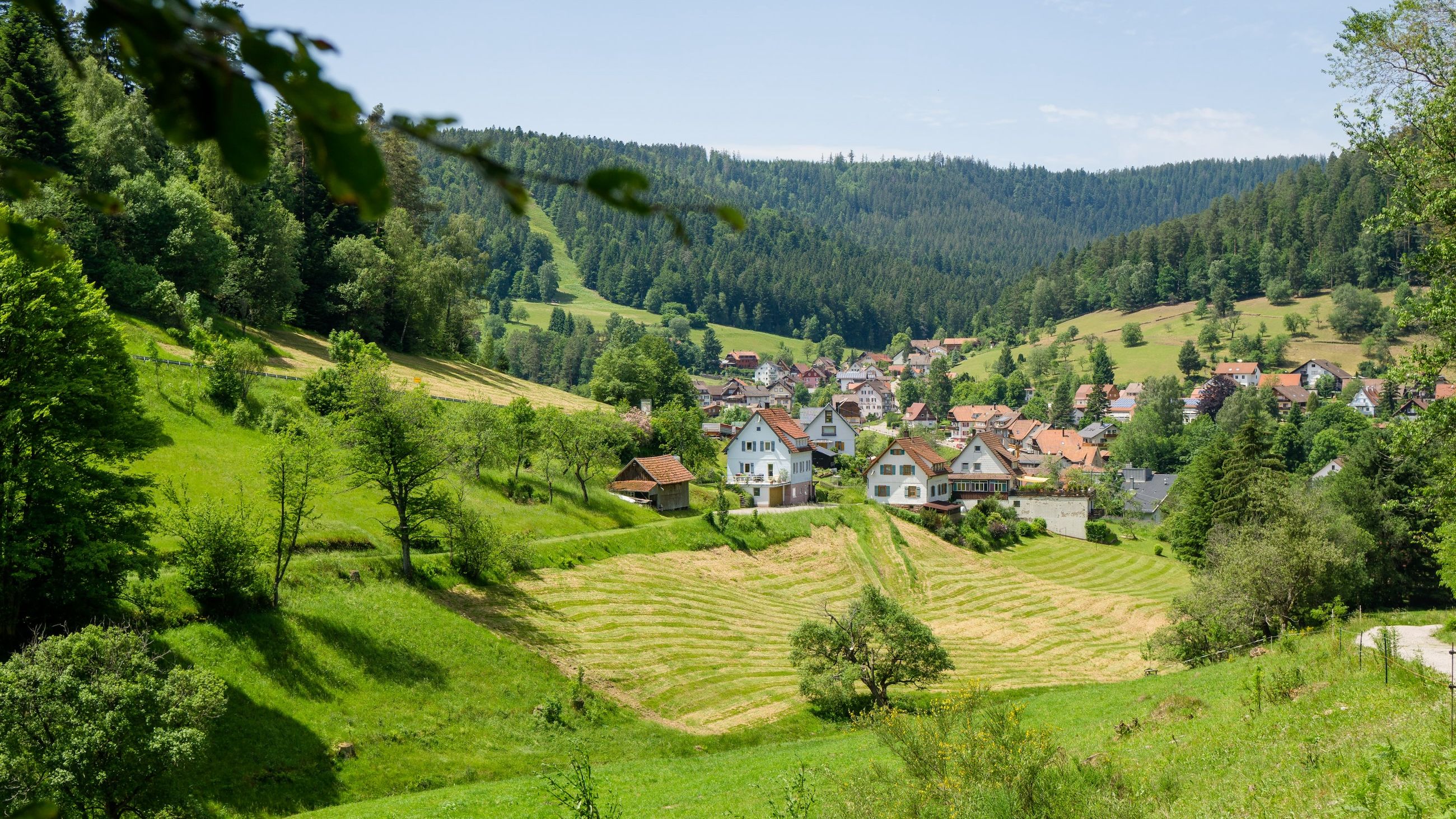 Blick auf Enzklösterle