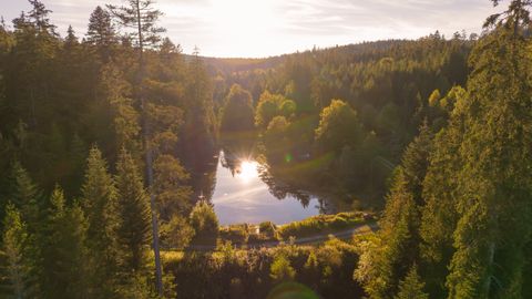 Blick auf den Kaltenbachsee