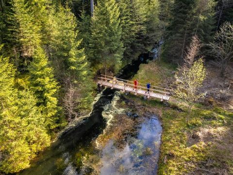 Naturbelassene Pfade und schmale Waldwege führen zu den schönsten Quellen der Region. 