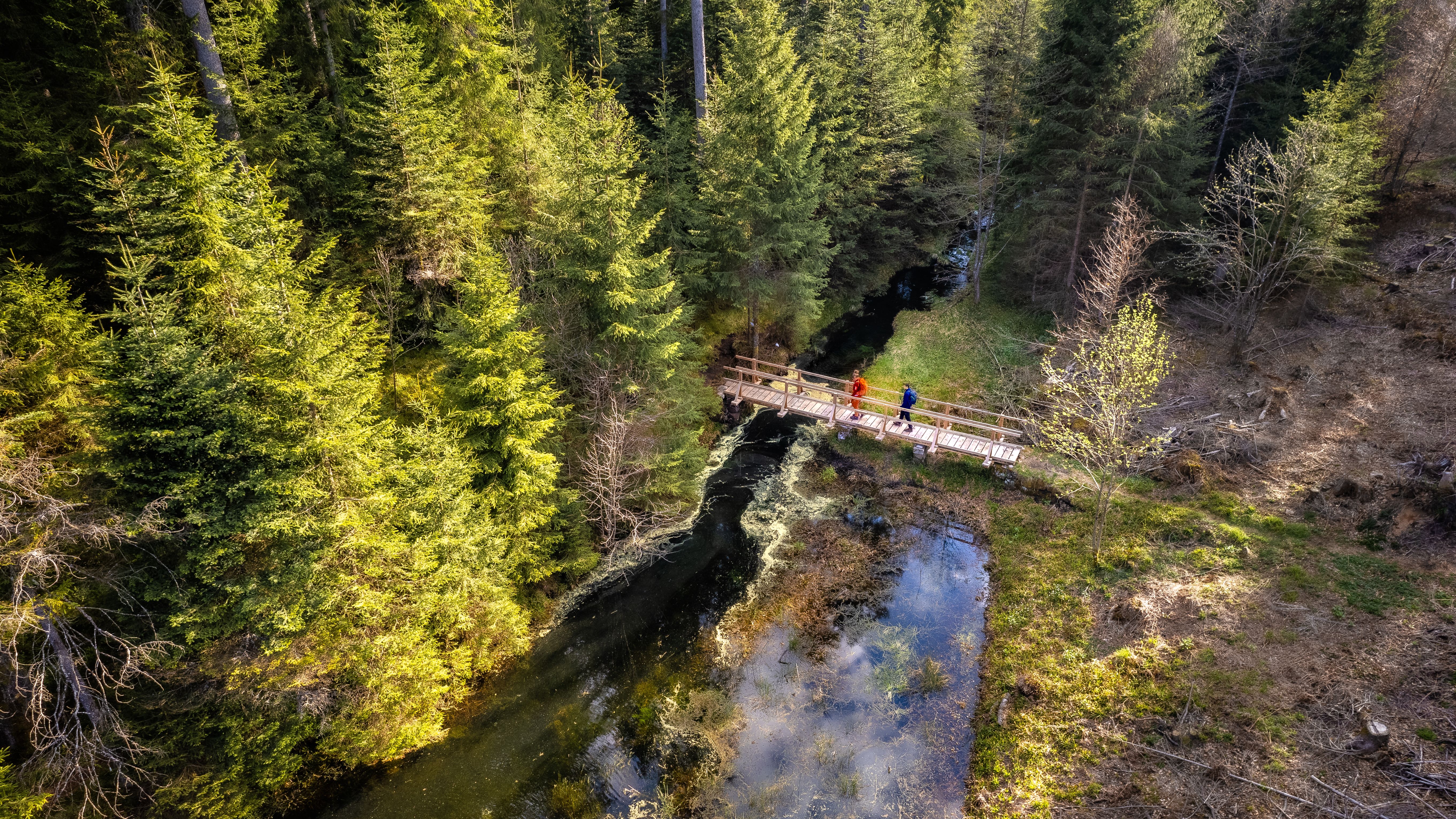 Wanderer überqueren eine Flussbrücke im Wald