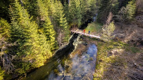 Wanderer überqueren eine Flussbrücke im Wald