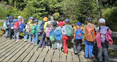 Waldwoche in der Kita Purzelbaum