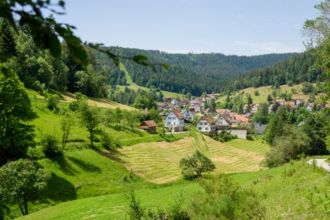 Blick auf das Heidelbeerdorf Enzklösterle