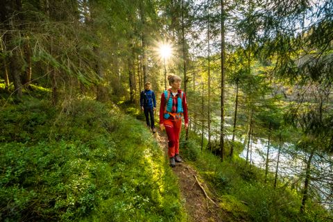 Wandern auf dem Heidelbeerweg Enzklösterle