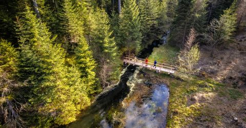 Wanderer auf der Brücke