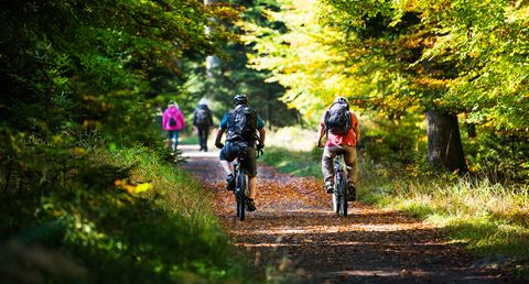Mountainbiken im Nordschwarzwald ist ein besonderes Erlebnis