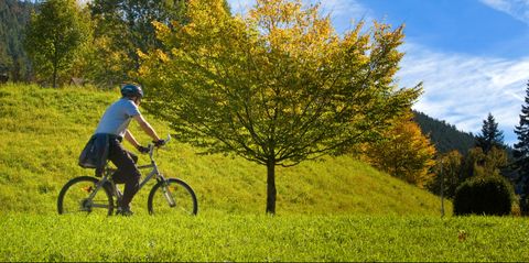 Mit dem Tourenrad unterwegs durch Wiesen, Felder und Wälder