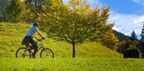 Mit dem Tourenrad unterwegs durch Wiesen, Felder und Wälder